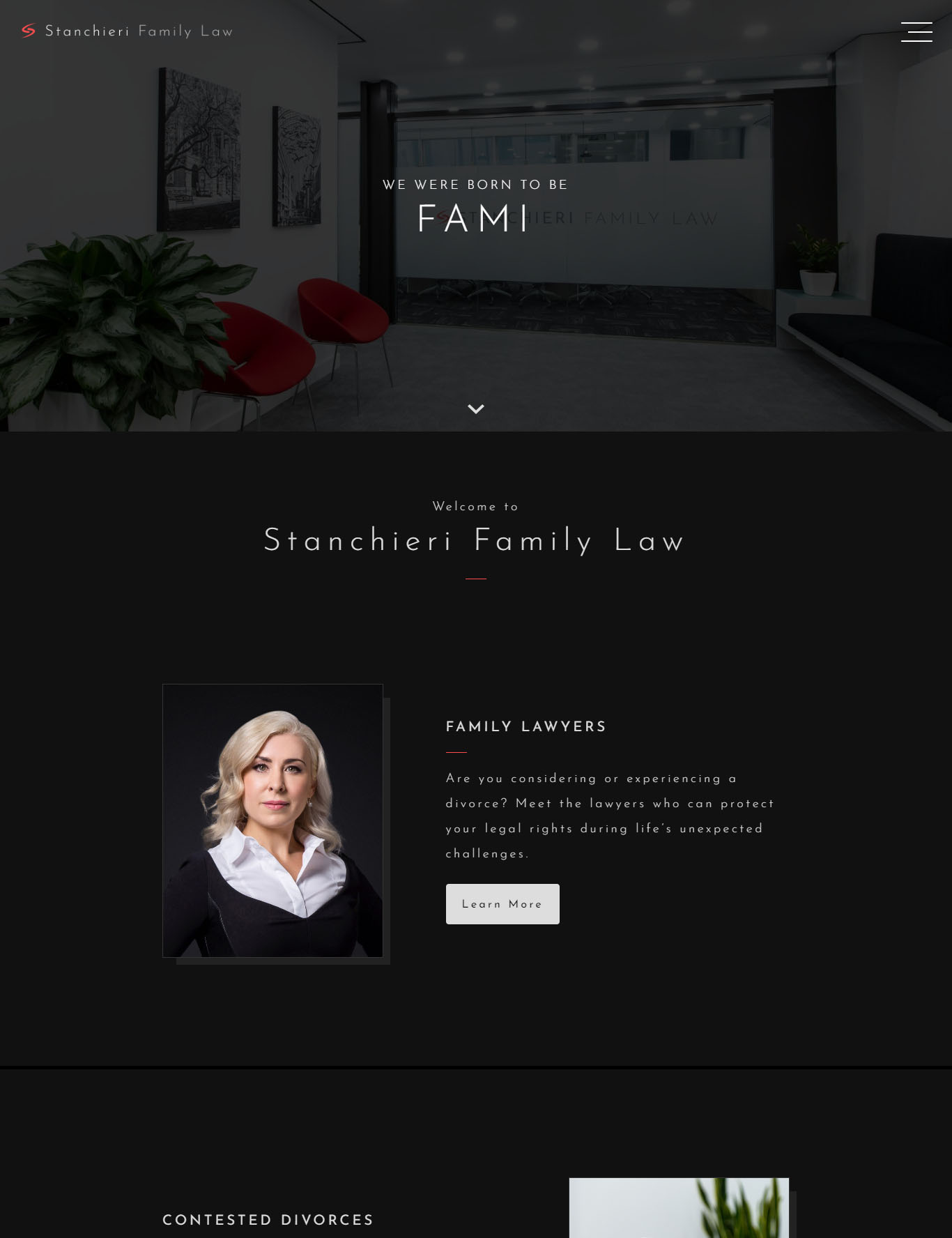 Stanchieri Family Law Portfolio image